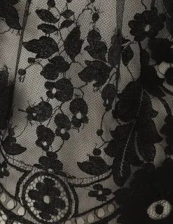 Illustration Lace Bow Bodice